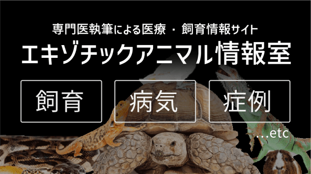 専門医執筆による医療・飼育情報サイト エキゾチックアニマル情報室 飼育・医療・症例など